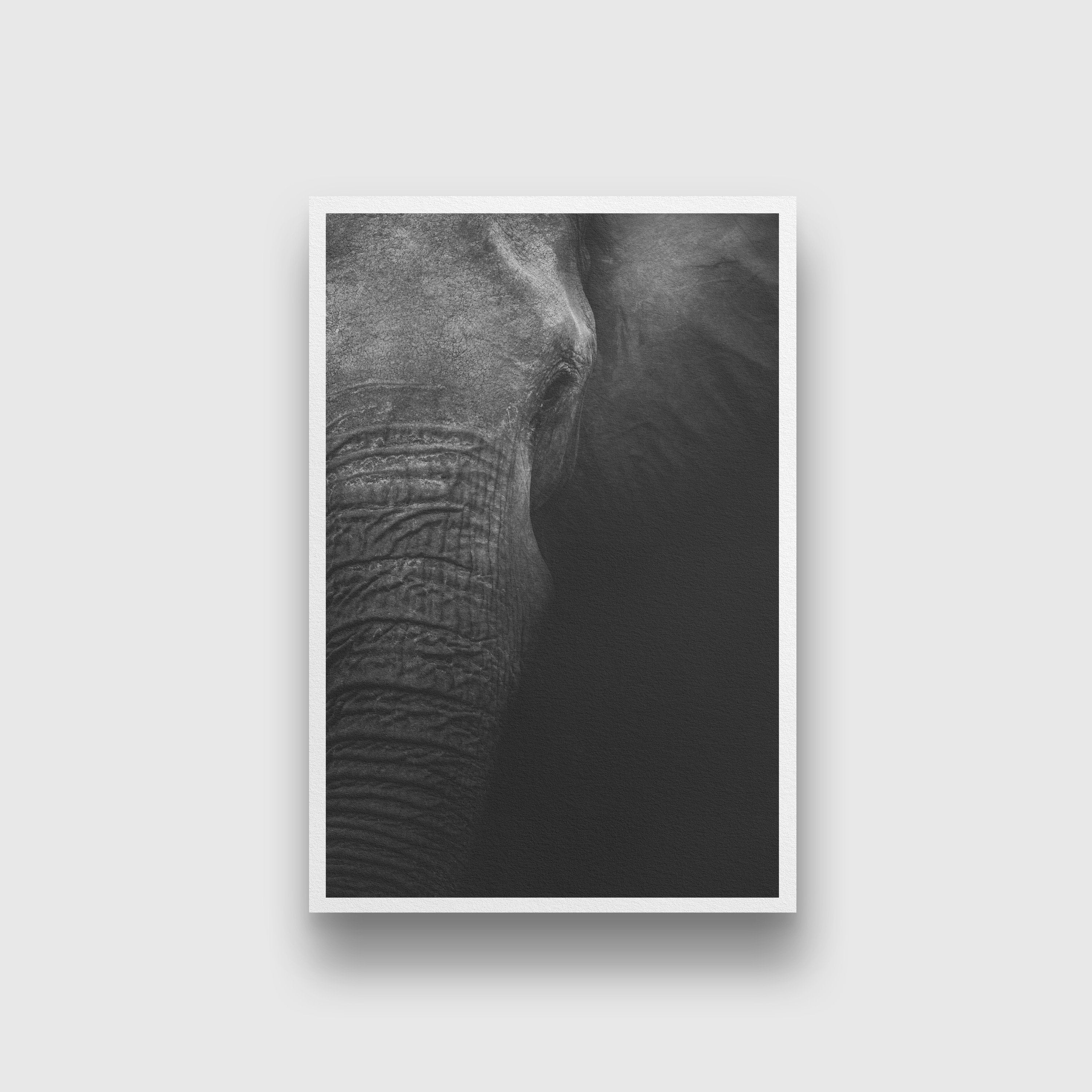 Portrait of an elephant Painting - Meri Deewar 2 : 3 Vertical Premium Wall Art Canvas by MeriDeewar