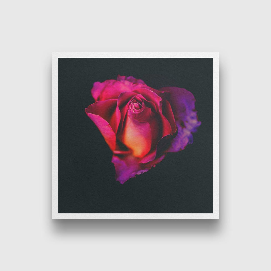 Rose Love Painting - Meri Deewar 1 : 1 Square Premium Wall Art Canvas by MeriDeewar