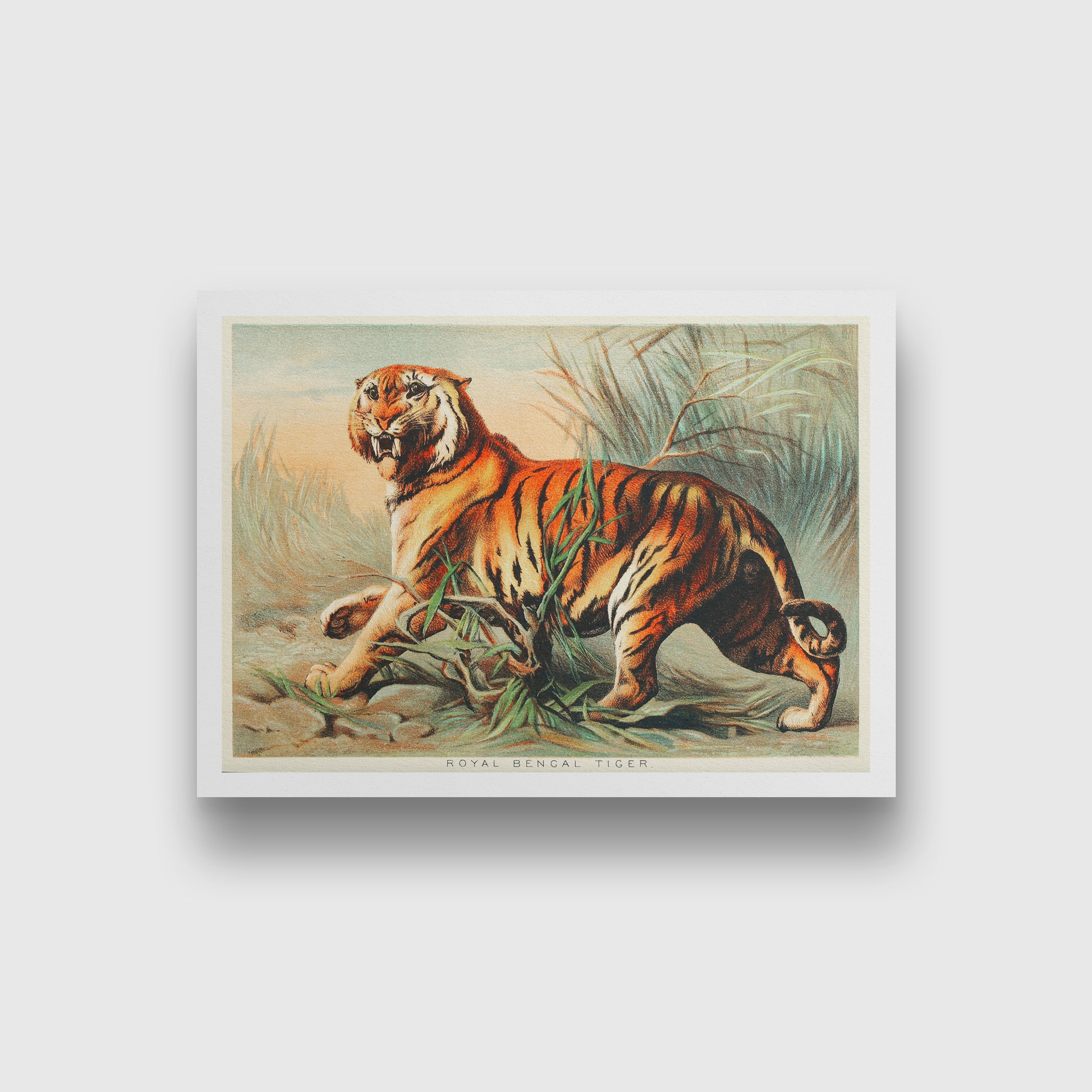 Royal bengal tiger painting 3 : 2 Horizontal Premium Wall Art Canvas by MeriDeewar