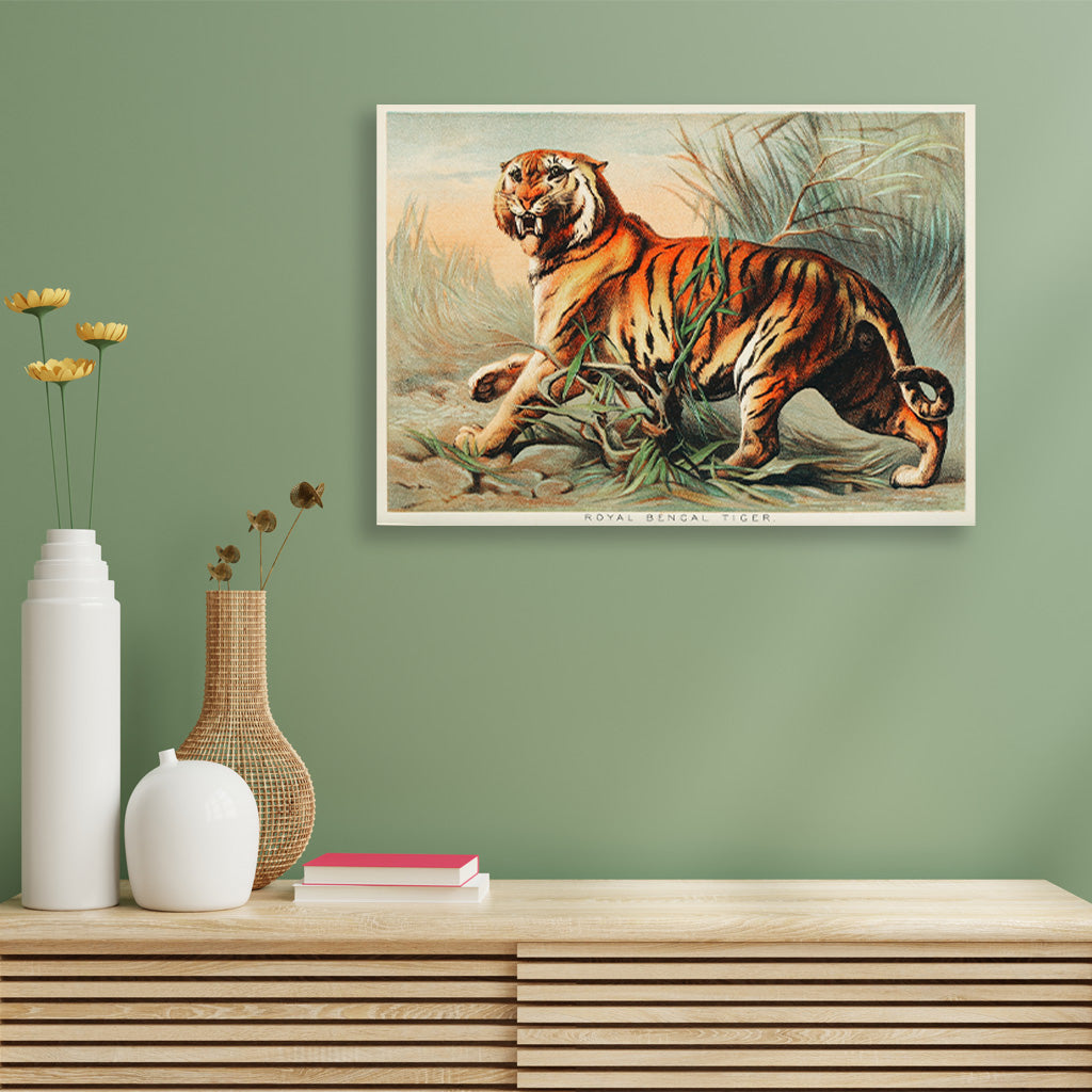 Royal bengal tiger painting 3 : 2 Horizontal Premium Wall Art Canvas by MeriDeewar