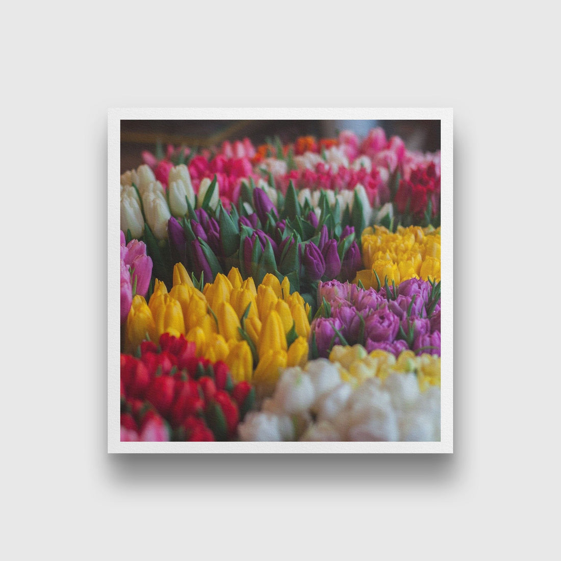 Shades of Lily Painting - Meri Deewar 1 : 1 Square Premium Wall Art Canvas by MeriDeewar