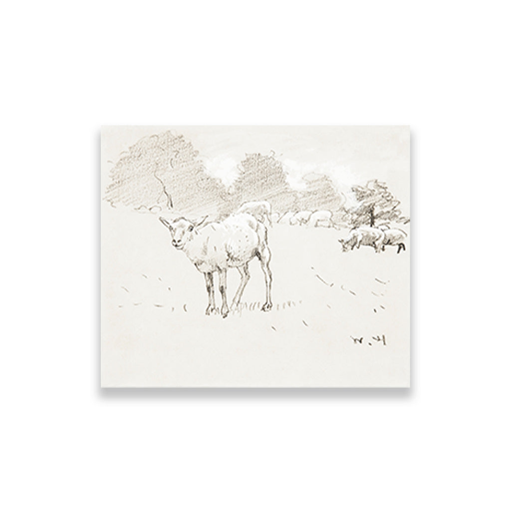 Sheep Grazing in a Field painting - Meri Deewar 6 : 5 Horizontal Premium Wall Art Canvas by MeriDeewar