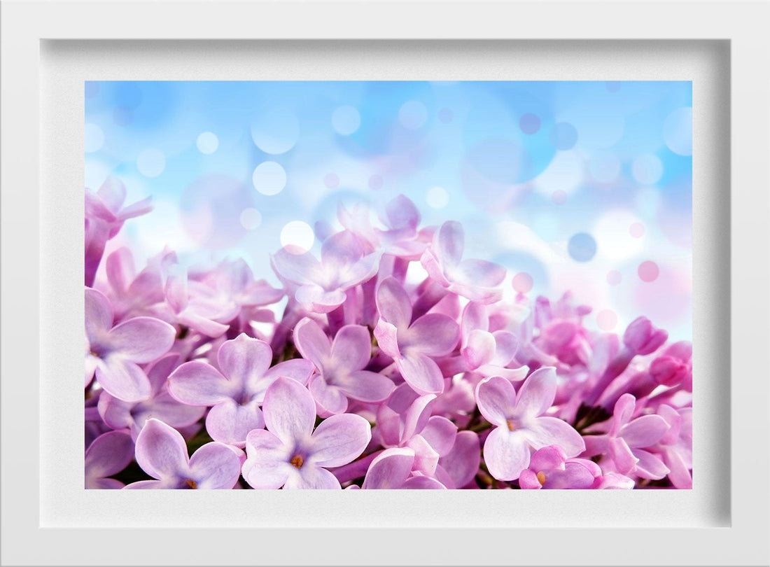 Small Pink Flowers Painting - Meri Deewar 3 : 2 Horizontal Premium Wall Art Canvas by MeriDeewar