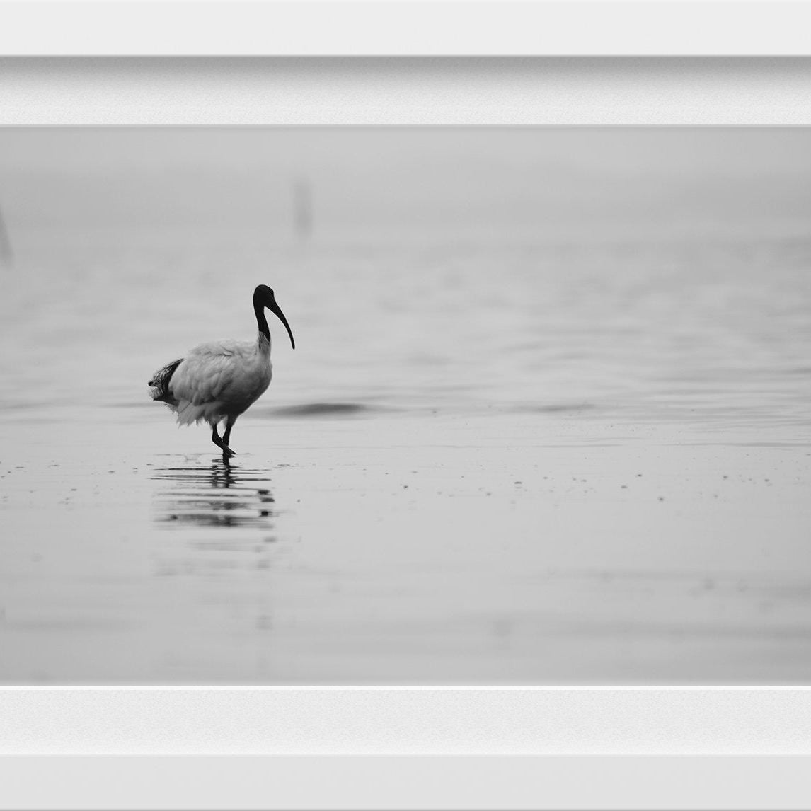 Solo Walk Wall Art Painting - Meri Deewar 3 : 2 Horizontal Premium Wall Art Canvas by MeriDeewar