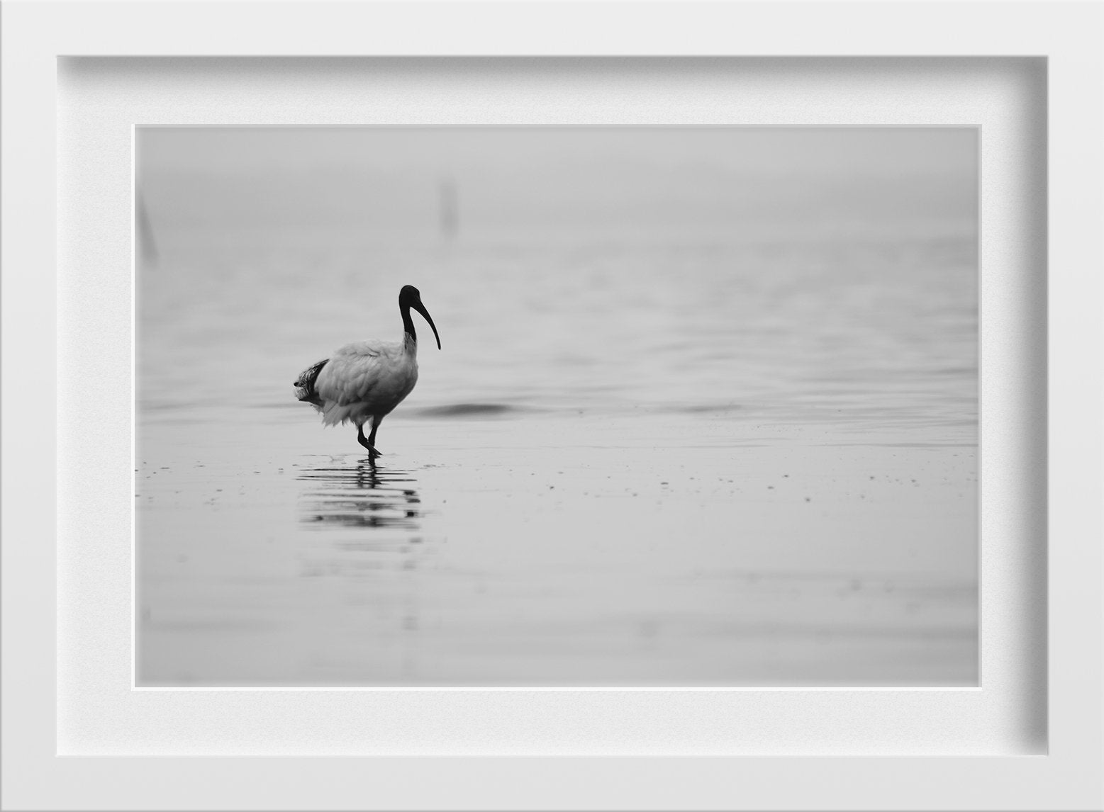 Solo Walk Wall Art Painting - Meri Deewar 3 : 2 Horizontal Premium Wall Art Canvas by MeriDeewar