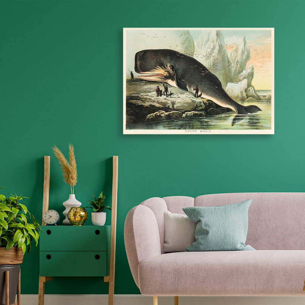 Sperm whale 3 : 2 Horizontal Premium Wall Art Canvas by MeriDeewar