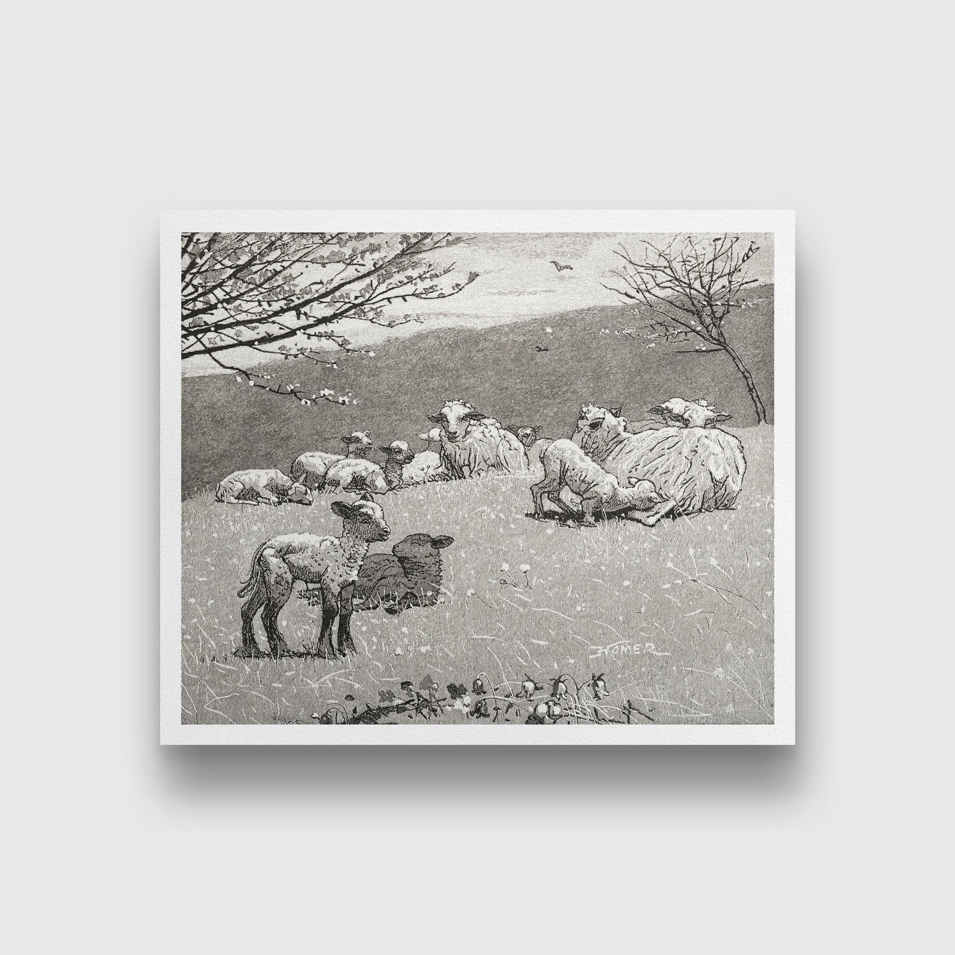 Spring Lamb painting - Meri Deewar 6 : 5 Horizontal Premium Wall Art Canvas by MeriDeewar