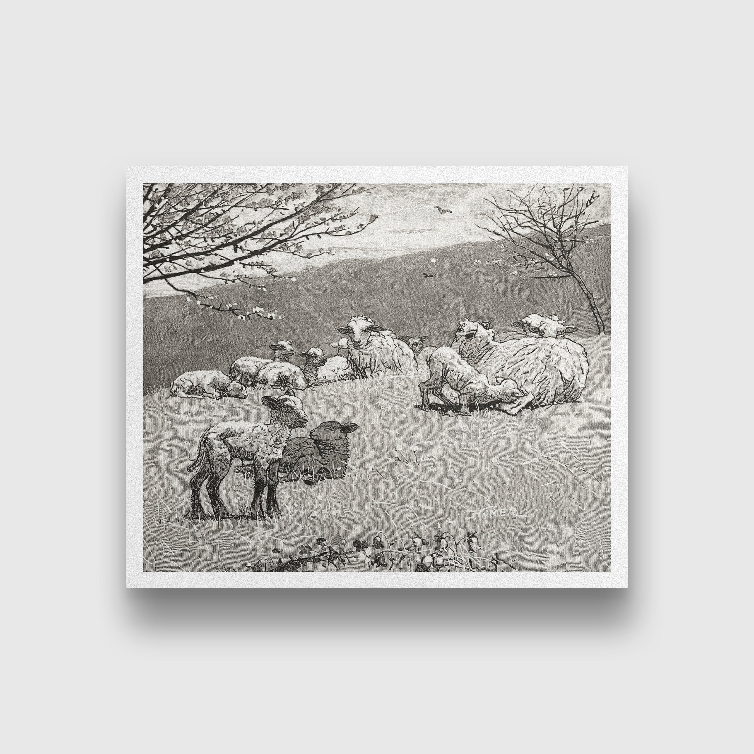 Spring Lamb painting - Meri Deewar 6 : 5 Horizontal Premium Wall Art Canvas by MeriDeewar