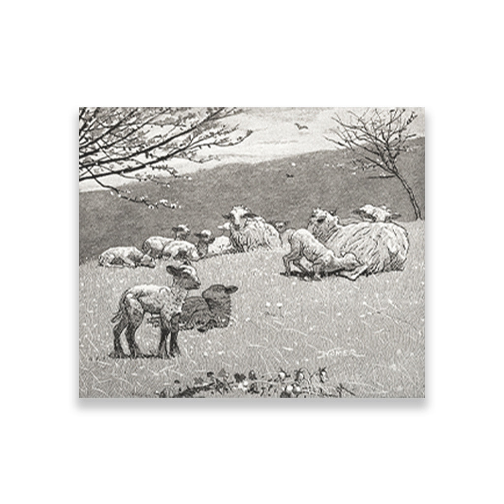 Spring Lamb painting - Meri Deewar 6 : 5 Horizontal Premium Wall Art Canvas by MeriDeewar