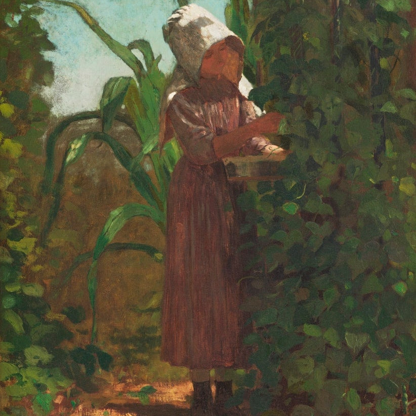 The Bean Picker painting - Meri Deewar 2 : 3 Vertical Premium Wall Art Canvas by MeriDeewar