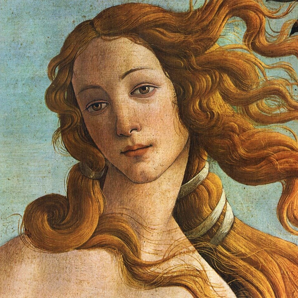 The Birth of Venus Painting - Meri Deewar 3 : 2 Horizontal Premium Wall Art Canvas by MeriDeewar
