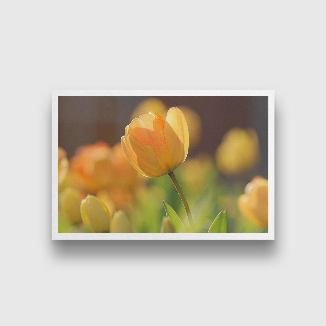 The Flower field Painting - Meri Deewar 3 : 2 Horizontal Premium Wall Art Canvas by MeriDeewar