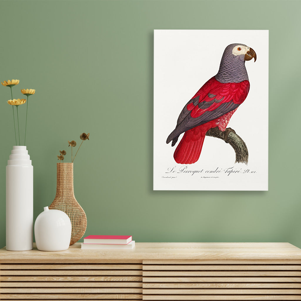 The Grey Parrot Psittacus erithacus Painting - Meri Deewar 2 : 3 Vertical Premium Wall Art Canvas by MeriDeewar