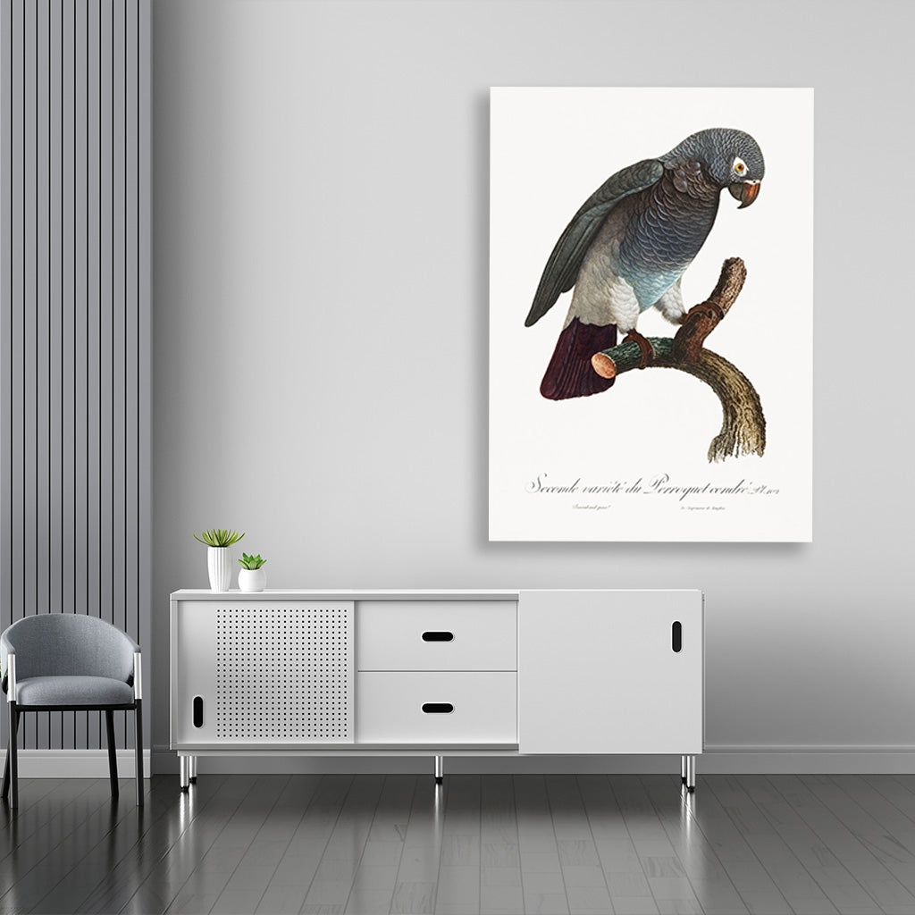 The Grey Parrot Psittacus erithacus Painting - Meri Deewar 2 : 3 Vertical Premium Wall Art Canvas by MeriDeewar