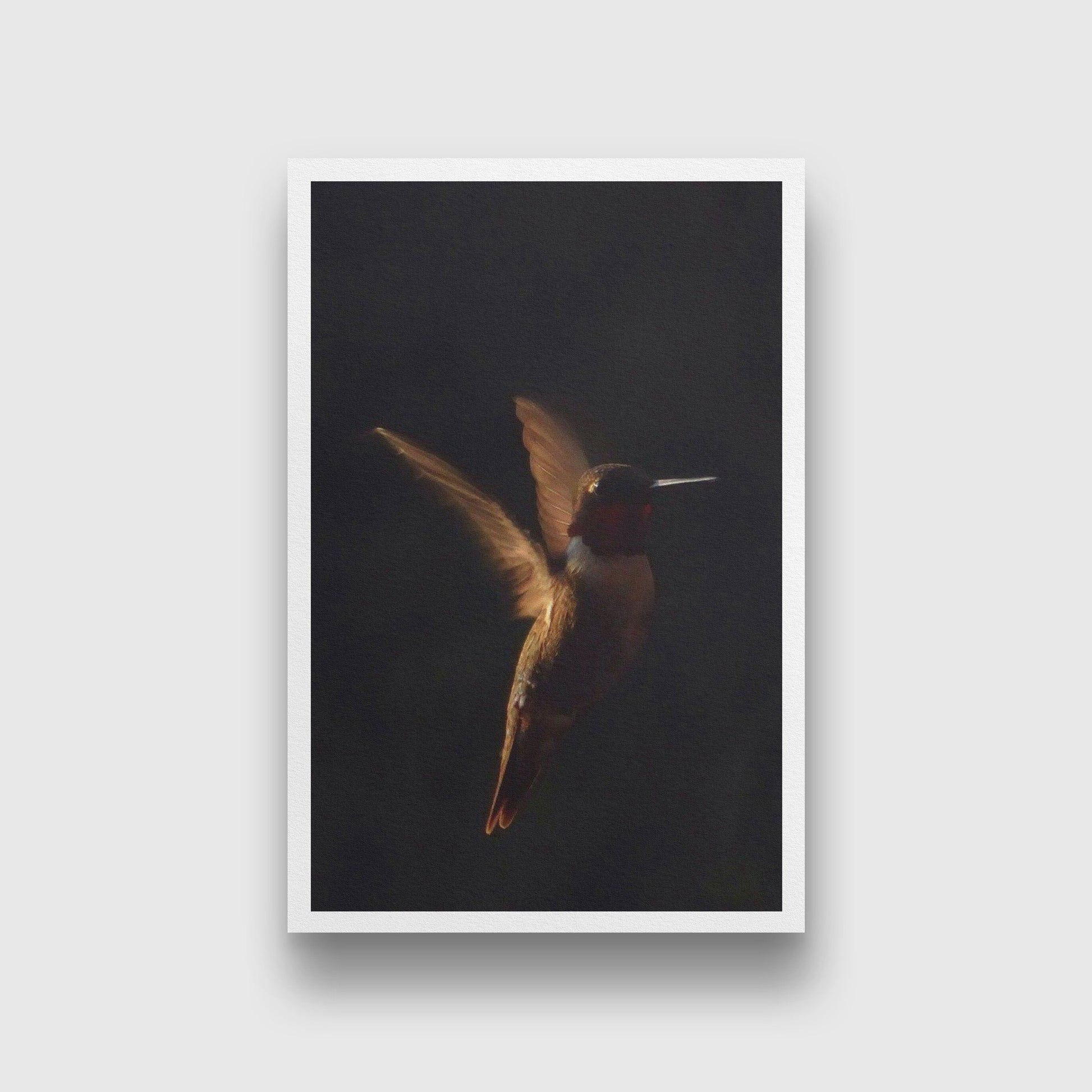 The humming bird Painting - Meri Deewar 2 : 3 Vertical Premium Wall Art Canvas by MeriDeewar