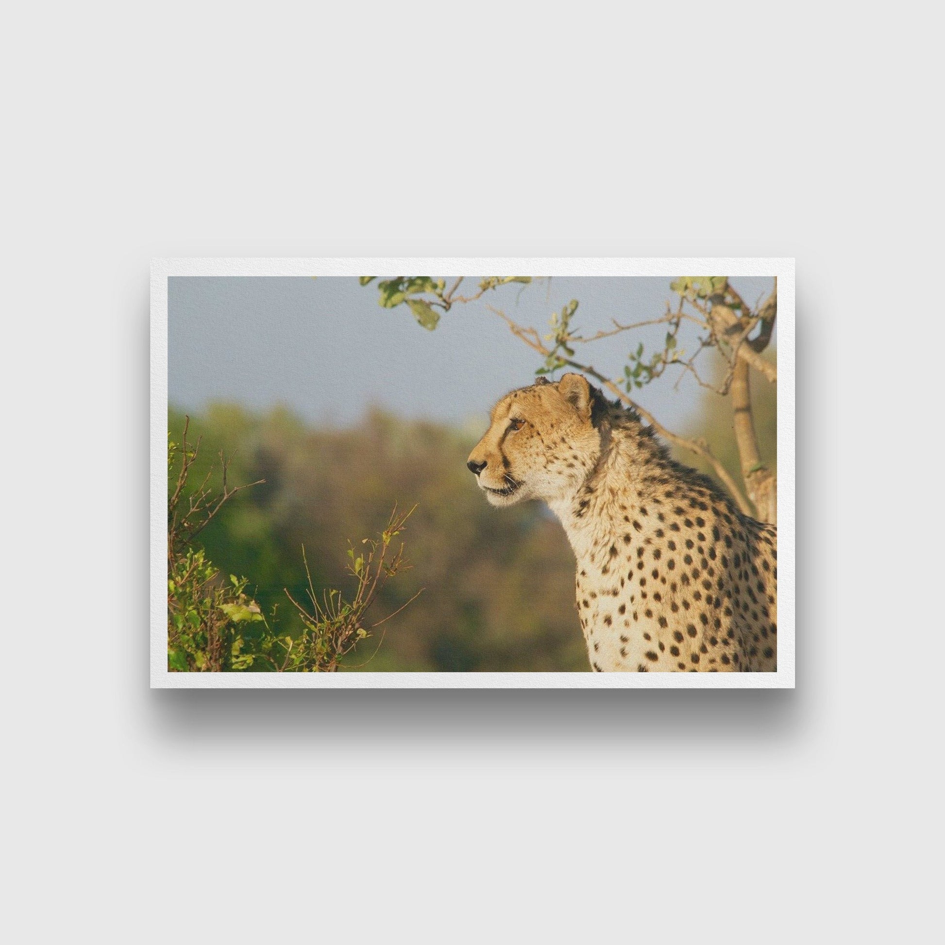 The Magnificent Cheetah Painting - Meri Deewar 3 : 2 Horizontal Premium Wall Art Canvas by MeriDeewar