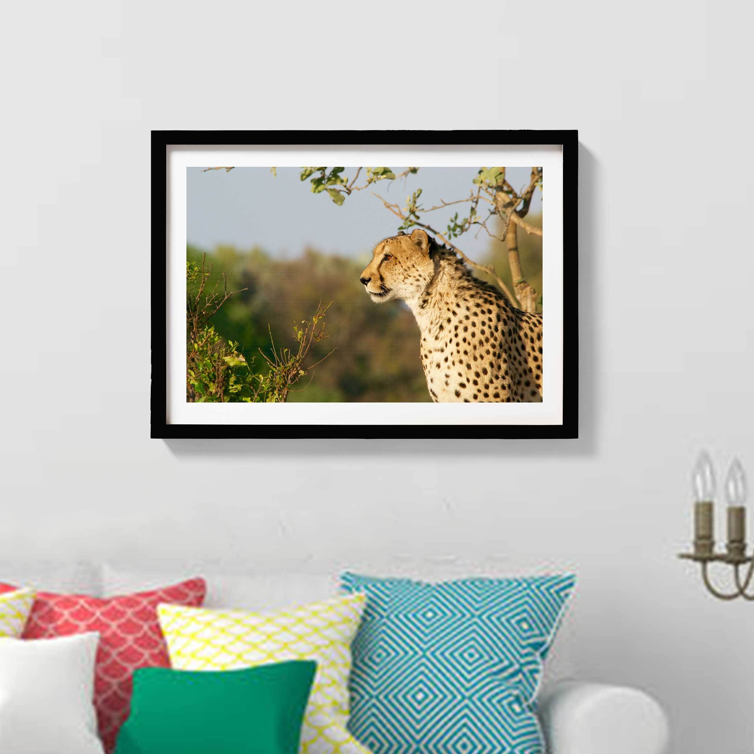 The Magnificent Cheetah Painting - Meri Deewar 3 : 2 Horizontal Premium Wall Art Canvas by MeriDeewar