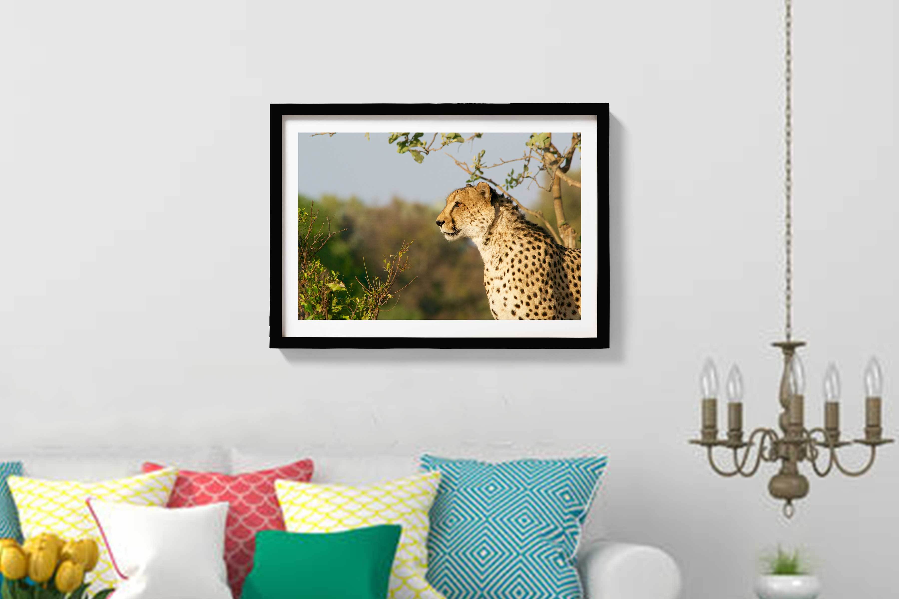 The Magnificent Cheetah Painting - Meri Deewar 3 : 2 Horizontal Premium Wall Art Canvas by MeriDeewar