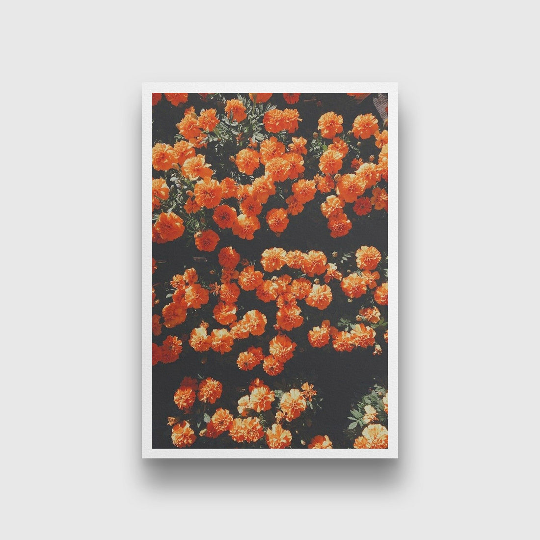 The marigold field Painting - Meri Deewar 2 : 3 Vertical Premium Wall Art Canvas by MeriDeewar