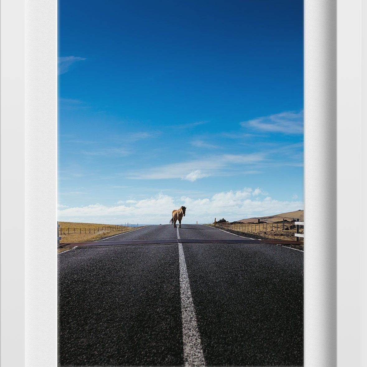 The mighty Horse Painting - Meri Deewar 2 : 3 Vertical Premium Wall Art Canvas by MeriDeewar