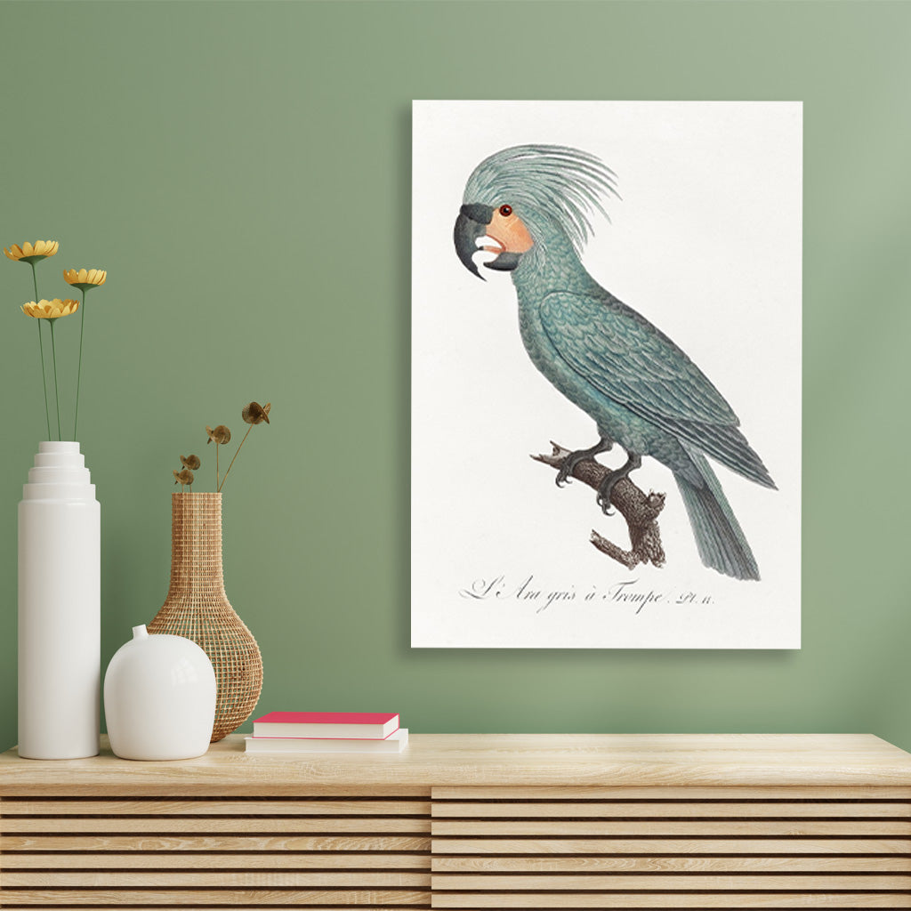 The Palm Cockatoo Painting - Meri Deewar 2 : 3 Vertical Premium Wall Art Canvas by MeriDeewar