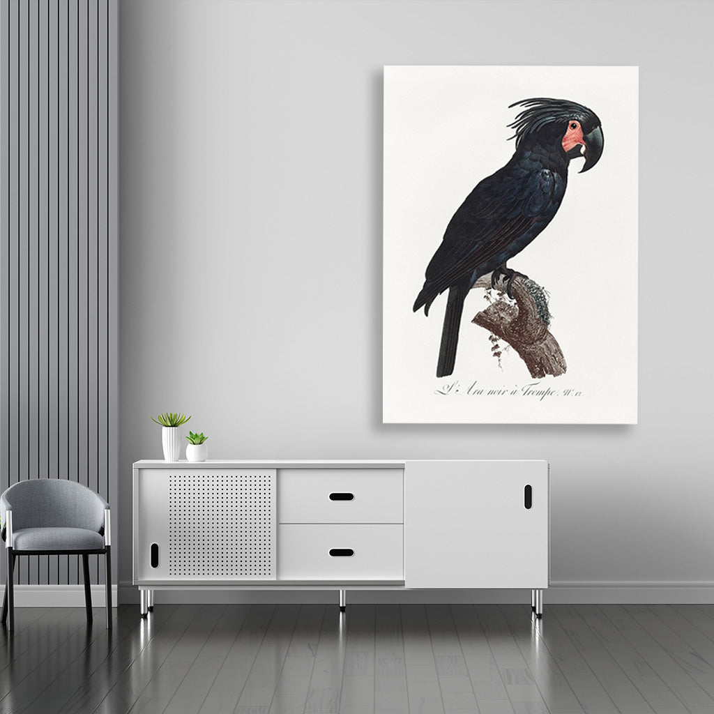 The Palm Cockatoo Probosciger aterrimus from Natural History of Parrots Painting - Meri Deewar 2 : 3 Vertical Premium Wall Art Canvas by MeriDeewar