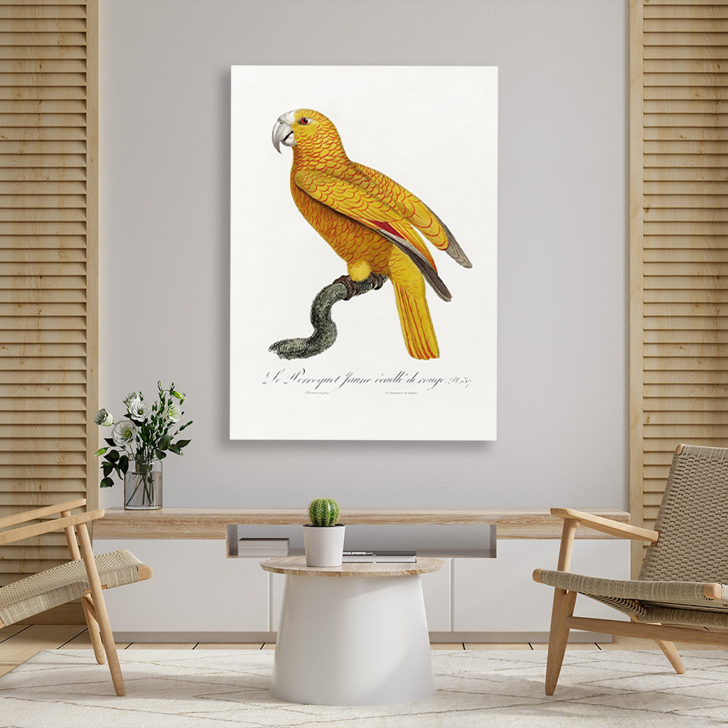 The Parrot of Paradise of Cuba Psittacus paradisi Painting - Meri Deewar 2 : 3 Vertical Premium Wall Art Canvas by MeriDeewar