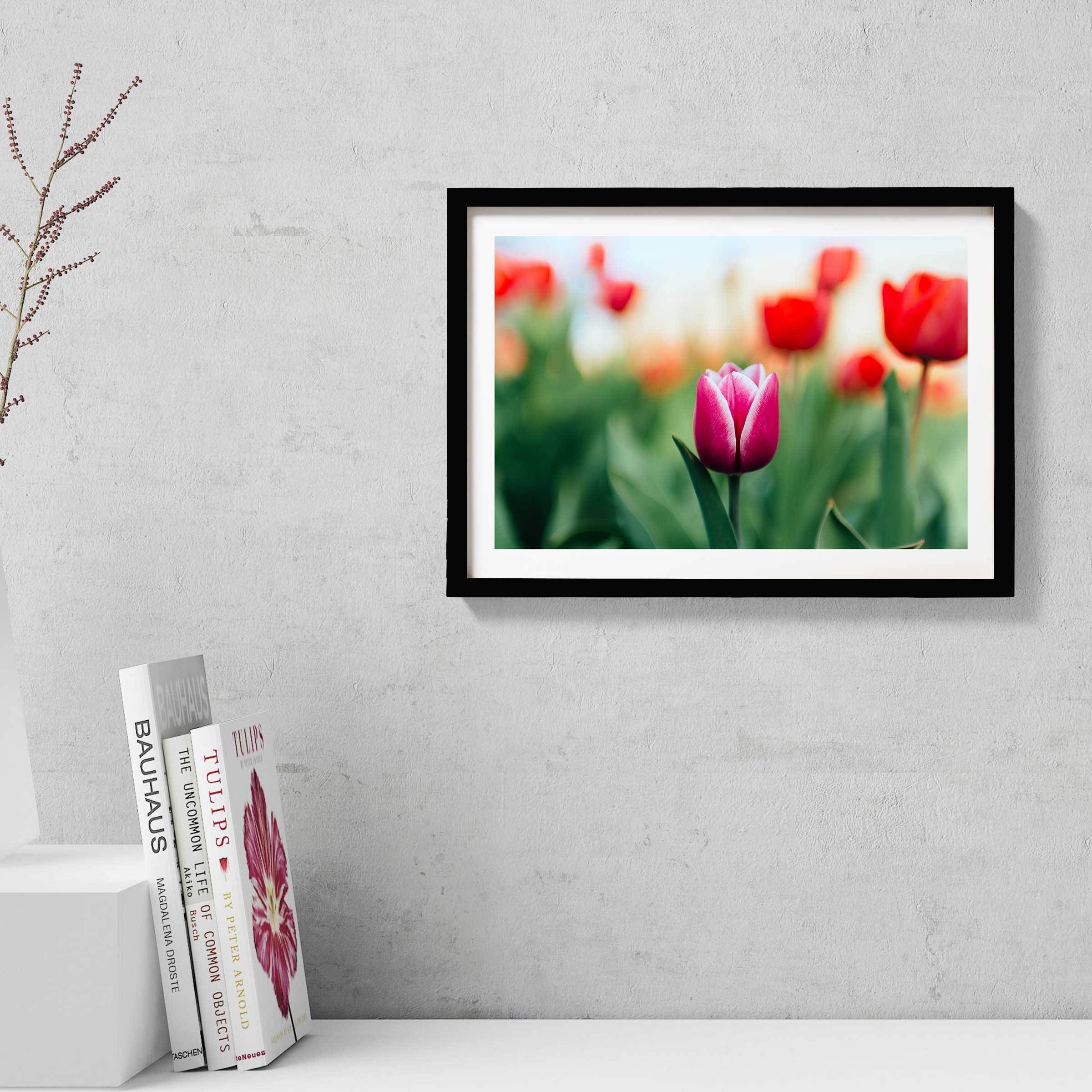 The Pink Lily Painting - Meri Deewar 3 : 2 Horizontal Premium Wall Art Canvas by MeriDeewar