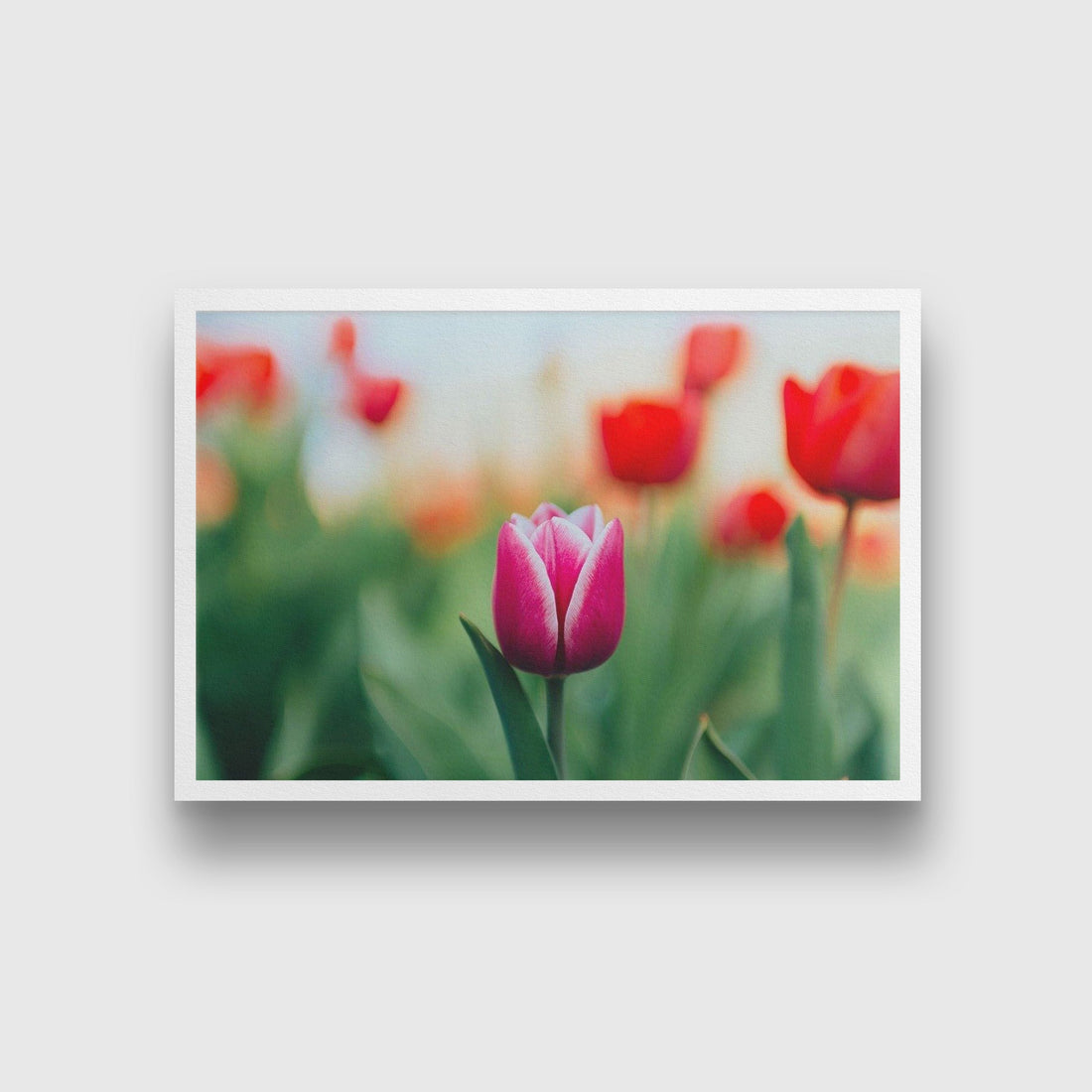 The Pink Lily Painting - Meri Deewar 3 : 2 Horizontal Premium Wall Art Canvas by MeriDeewar