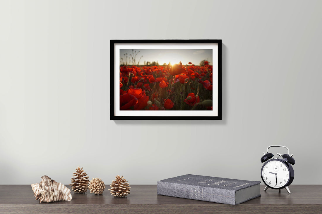 The Red Rose Field Painting - Meri Deewar 3 : 2 Horizontal Premium Wall Art Canvas by MeriDeewar