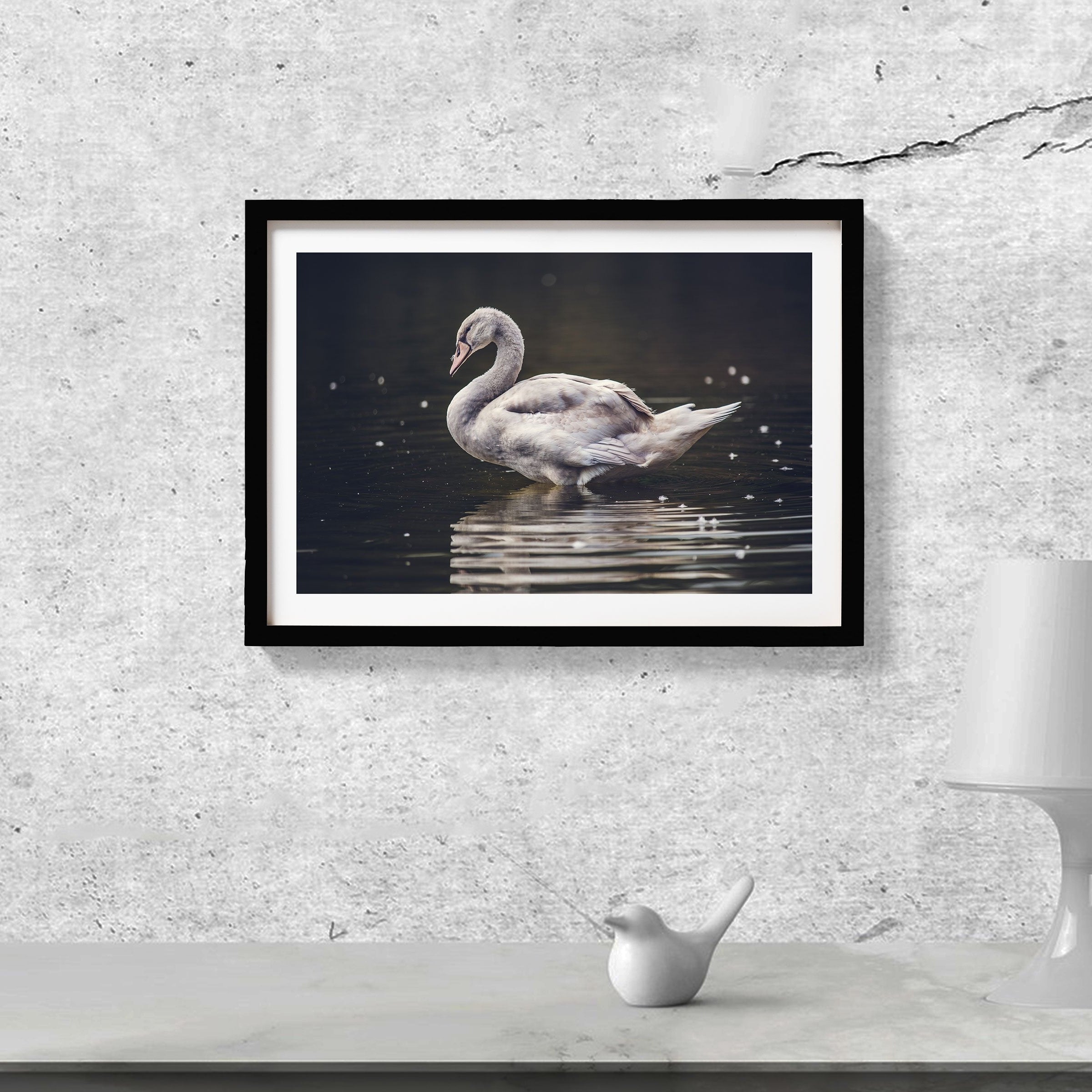 The Swan Painting - Meri Deewar 3 : 2 Horizontal Premium Wall Art Canvas by MeriDeewar