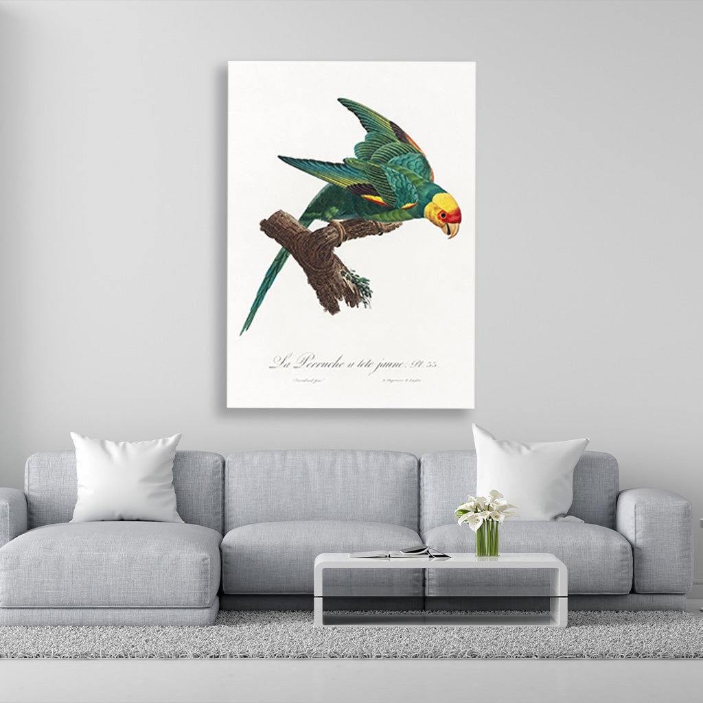 The Yellow Crowned Parakeet Painting - Meri Deewar 2 : 3 Vertical Premium Wall Art Canvas by MeriDeewar
