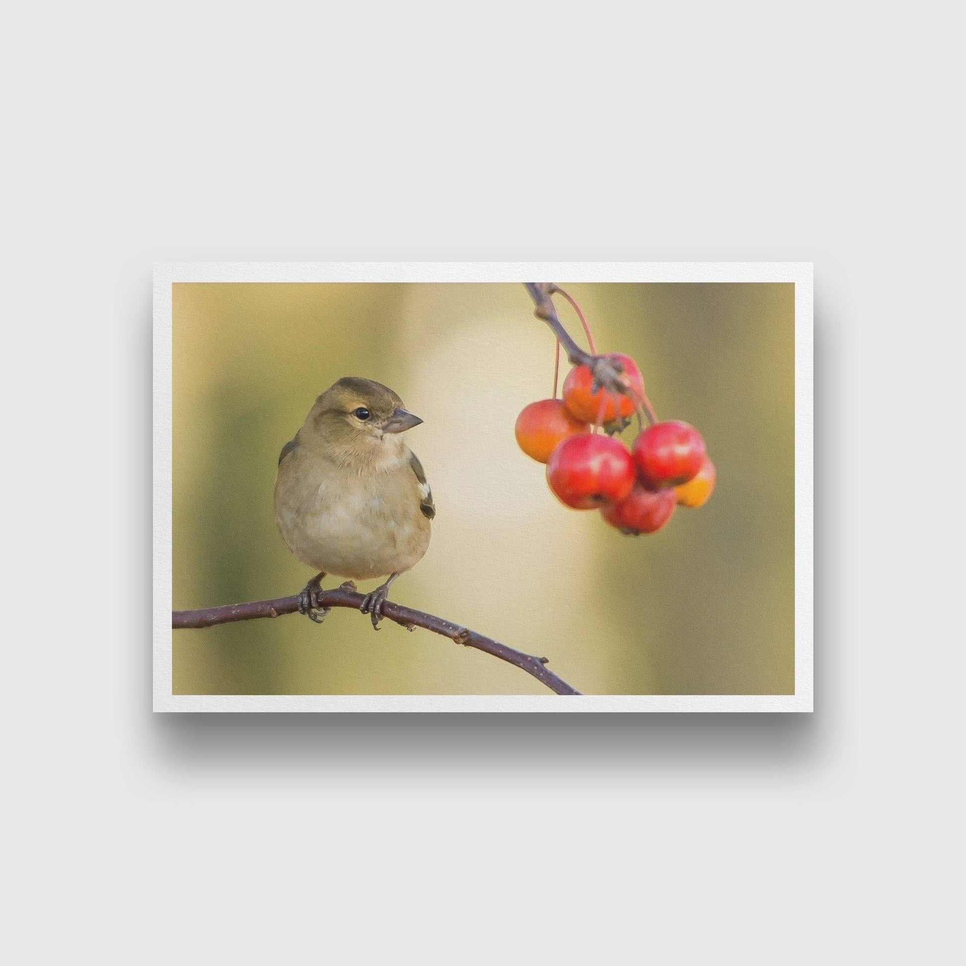 Tiny Sparrow Painting - Meri Deewar 3 : 2 Horizontal Premium Wall Art Canvas by MeriDeewar