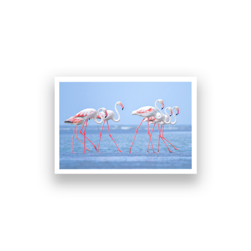 Tropical Flamingo Wall Painting 3 : 2 Horizontal Premium Wall Art Canvas by MeriDeewar