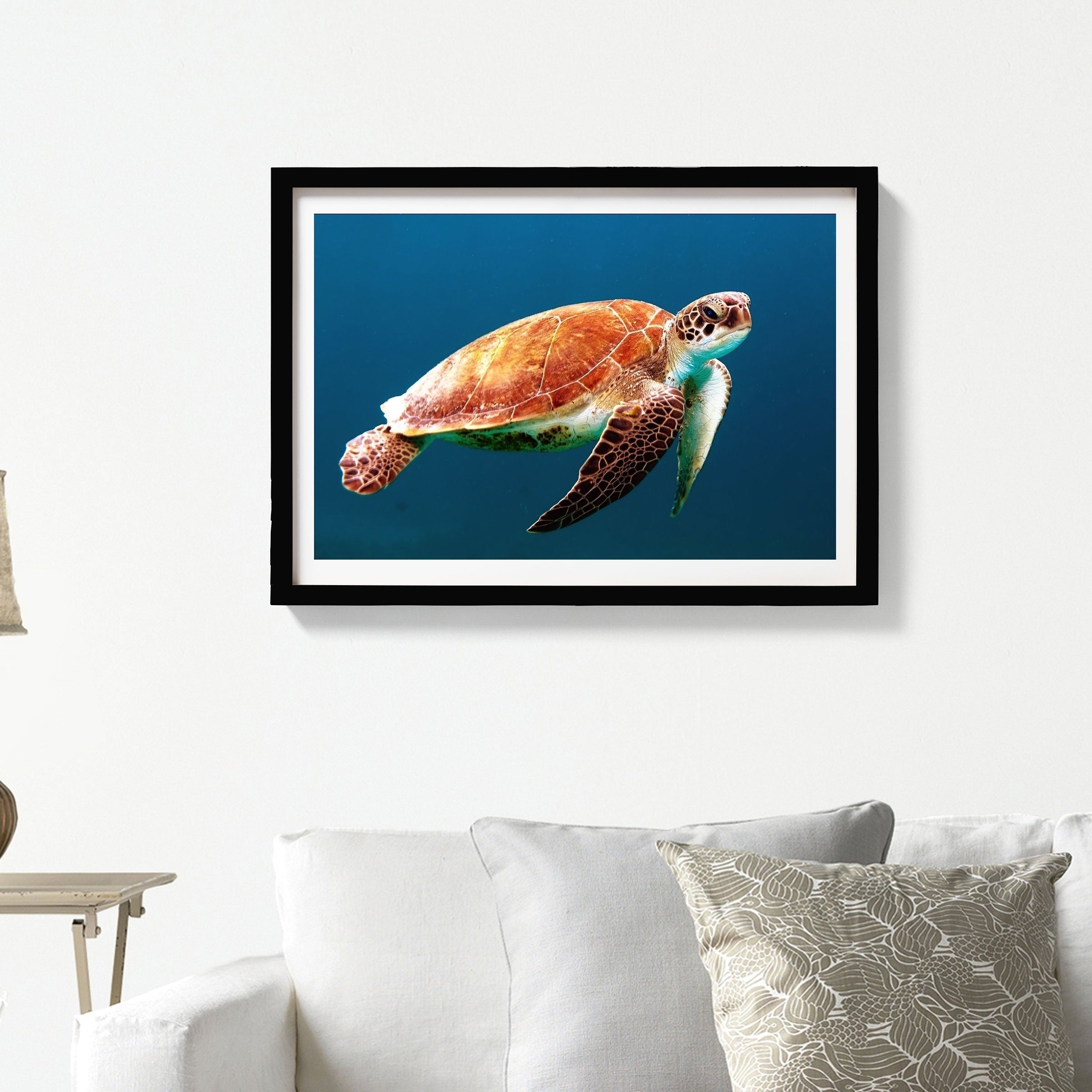 Turtle Painting - Meri Deewar 3 : 2 Horizontal Premium Wall Art Canvas by MeriDeewar