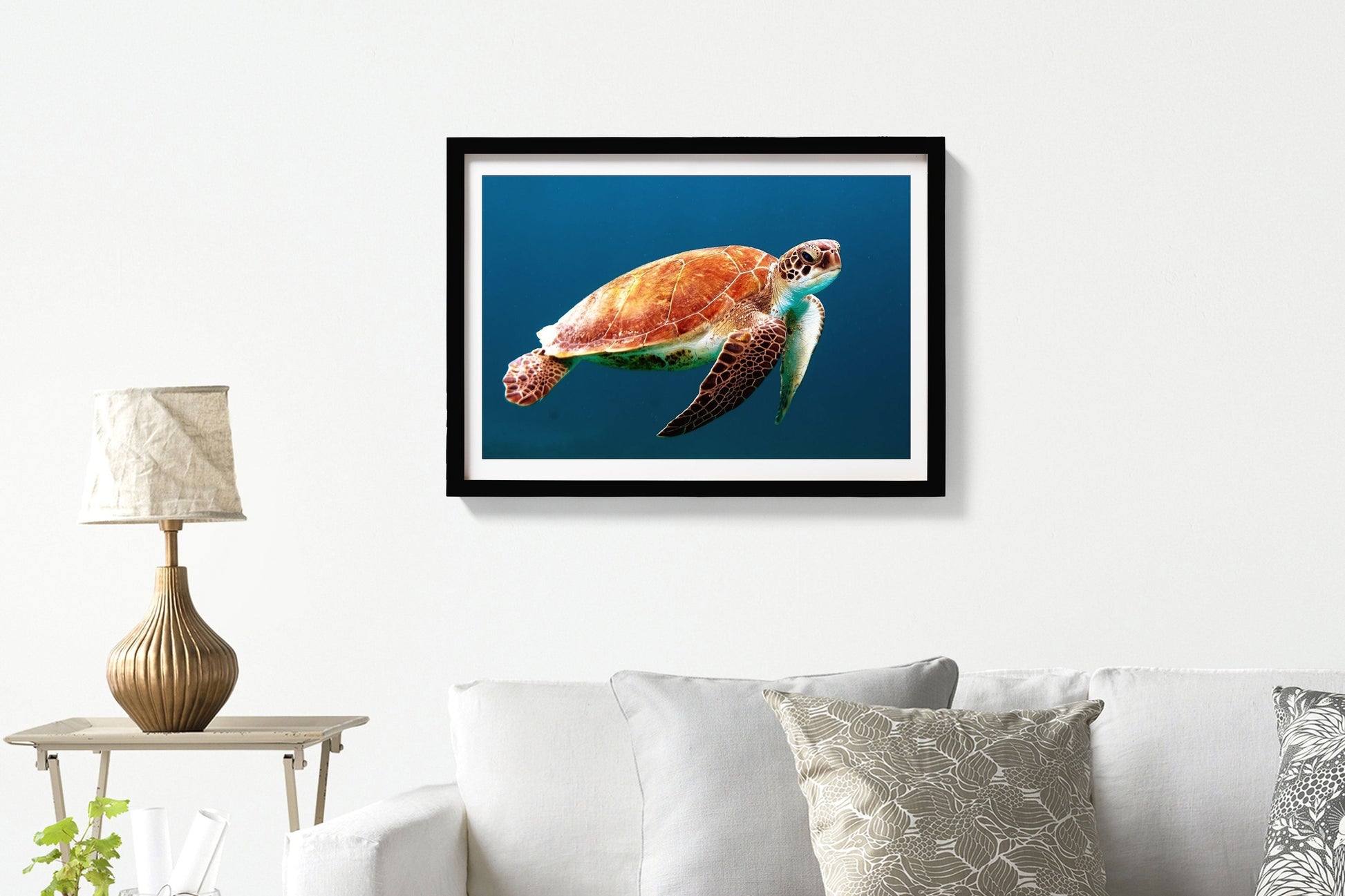 Turtle Painting - Meri Deewar 3 : 2 Horizontal Premium Wall Art Canvas by MeriDeewar