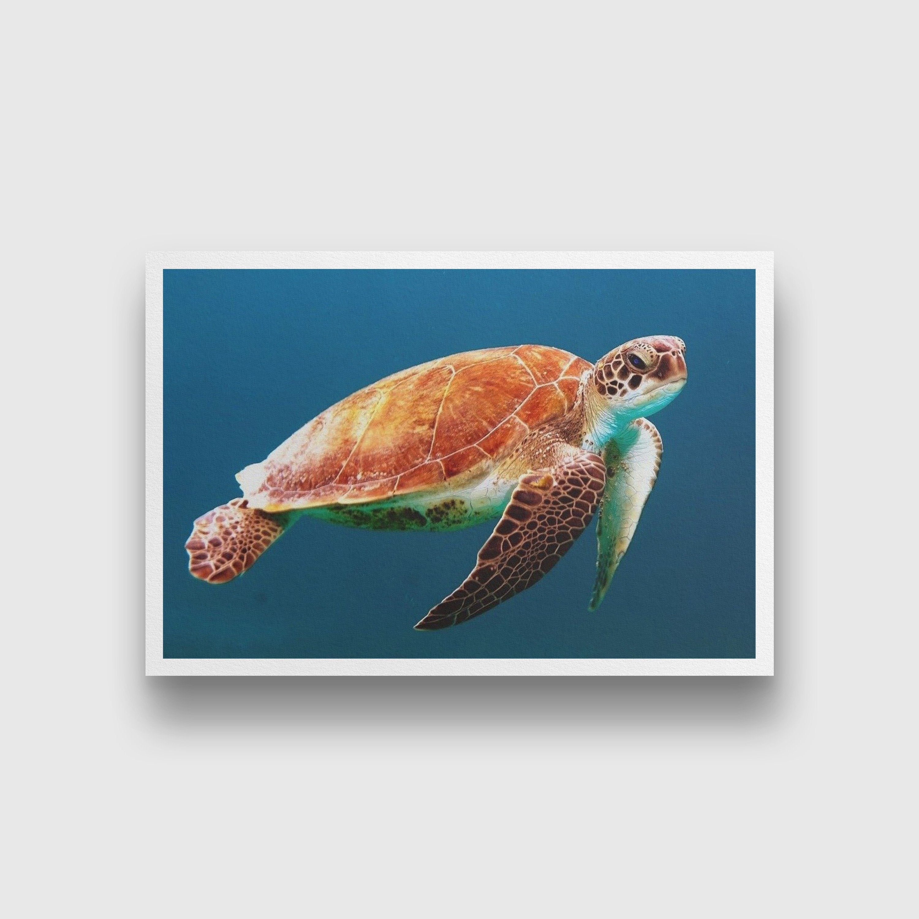 Turtle Painting - Meri Deewar 3 : 2 Horizontal Premium Wall Art Canvas by MeriDeewar