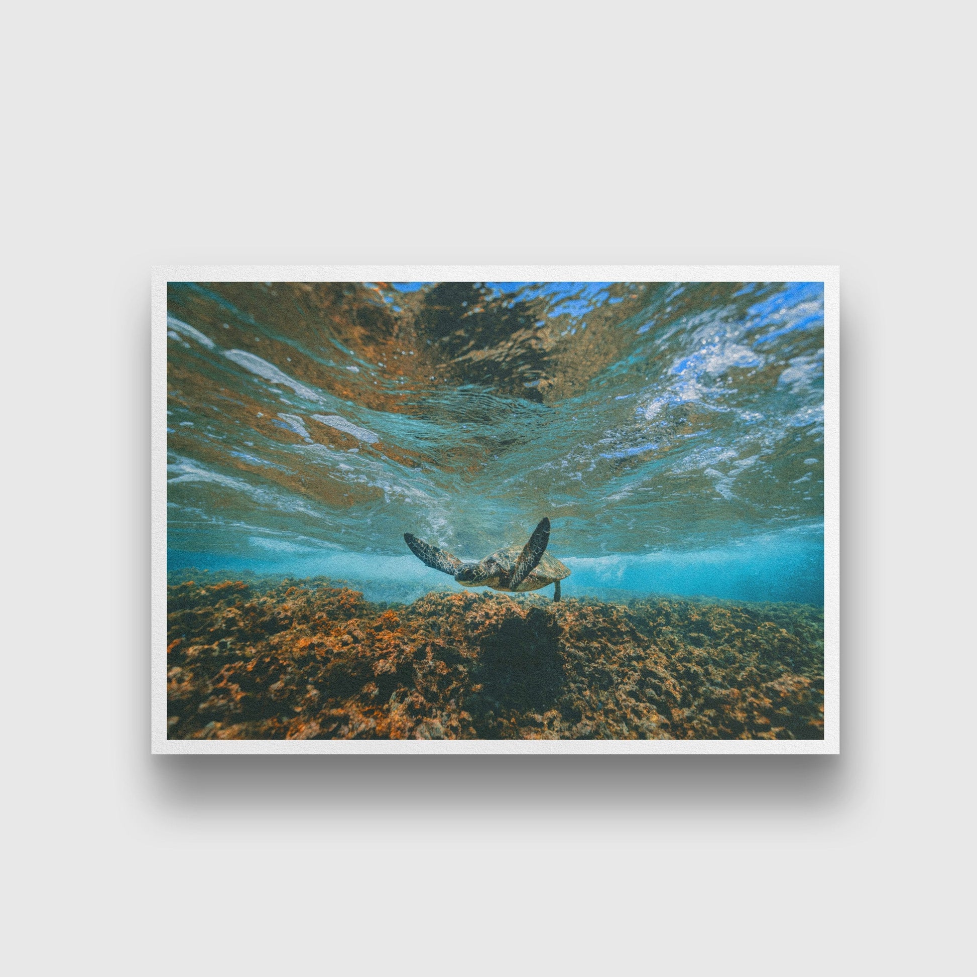 Turtle swimming in the blue painting - Meri Deewar 3 : 2 Horizontal Premium Wall Art Canvas by MeriDeewar