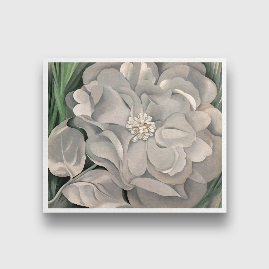 White Calico Flower Whitney Painting - Meri Deewar 6 : 5 Horizontal Premium Wall Art Canvas by MeriDeewar