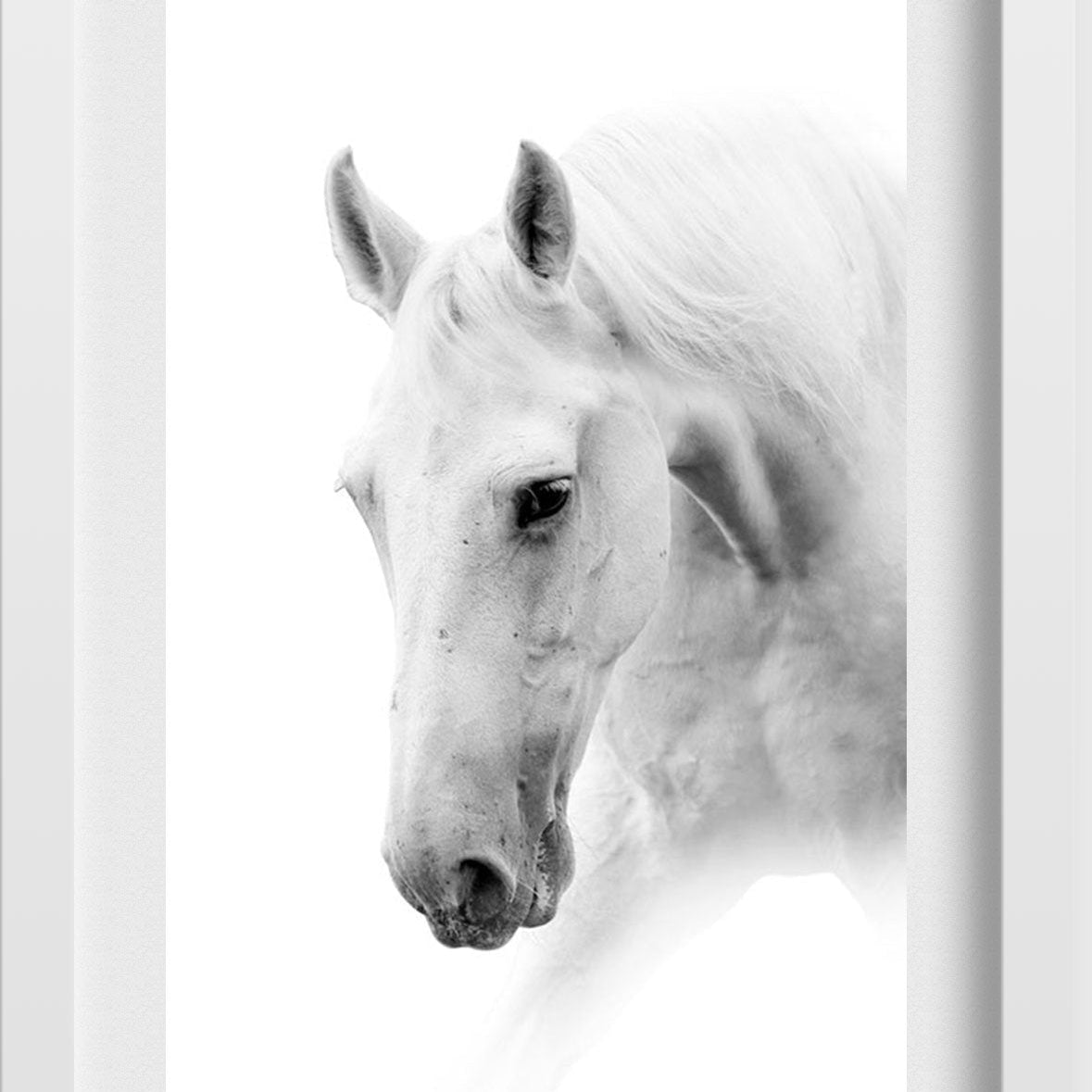 White Horse Painting - Meri Deewar 2 : 3 Vertical Premium Wall Art Canvas by MeriDeewar