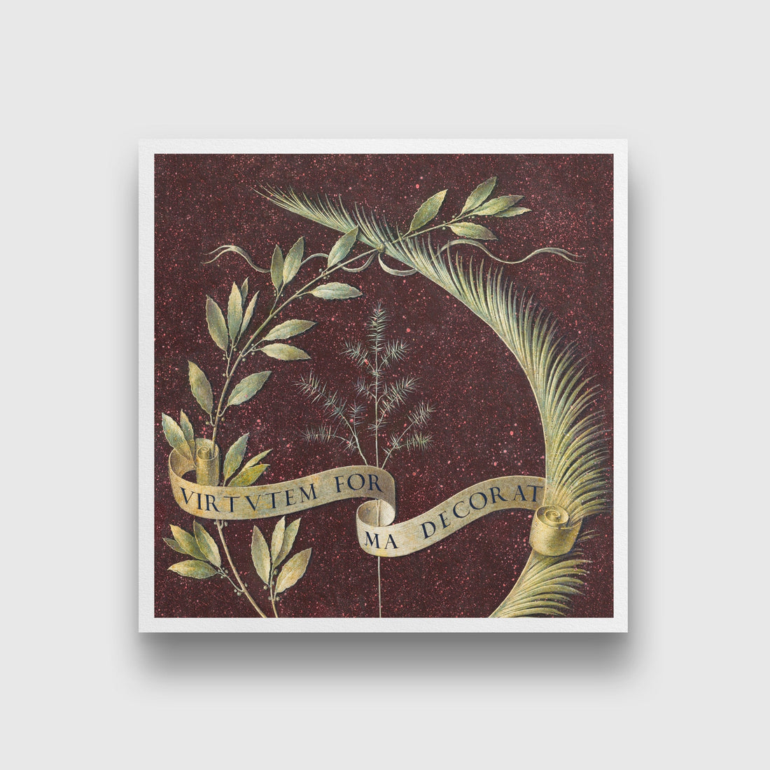 Wreath of Laurel, Palm, and Juniper with a Scroll inscribed Virtutem Forma Decorat Painting - Meri Deewar 1 : 1 Square Premium Wall Art Canvas by MeriDeewar