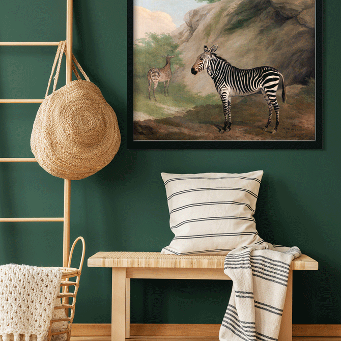 Zebra Painting 6 : 5 Horizontal Premium Wall Art Canvas by MeriDeewar