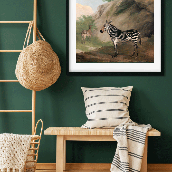 Zebra Painting 6 : 5 Horizontal Premium Wall Art Canvas by MeriDeewar