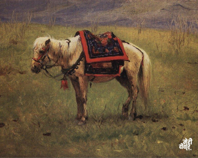Himalayan Ponies