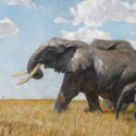 Animal Paintings