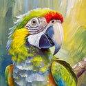 Parrot
