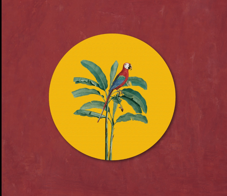 Circular Canvas