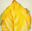 Georgia O'keeffe