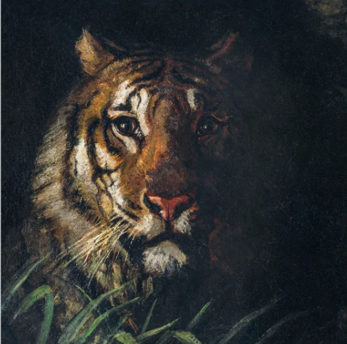 Tiger Paintings
