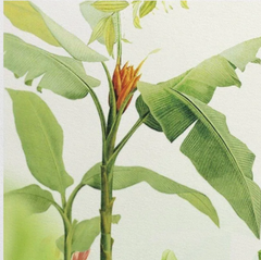Botanical